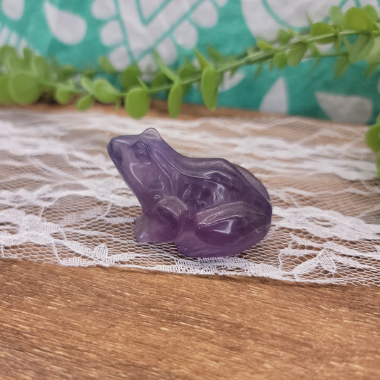Purple Fluorite Frog