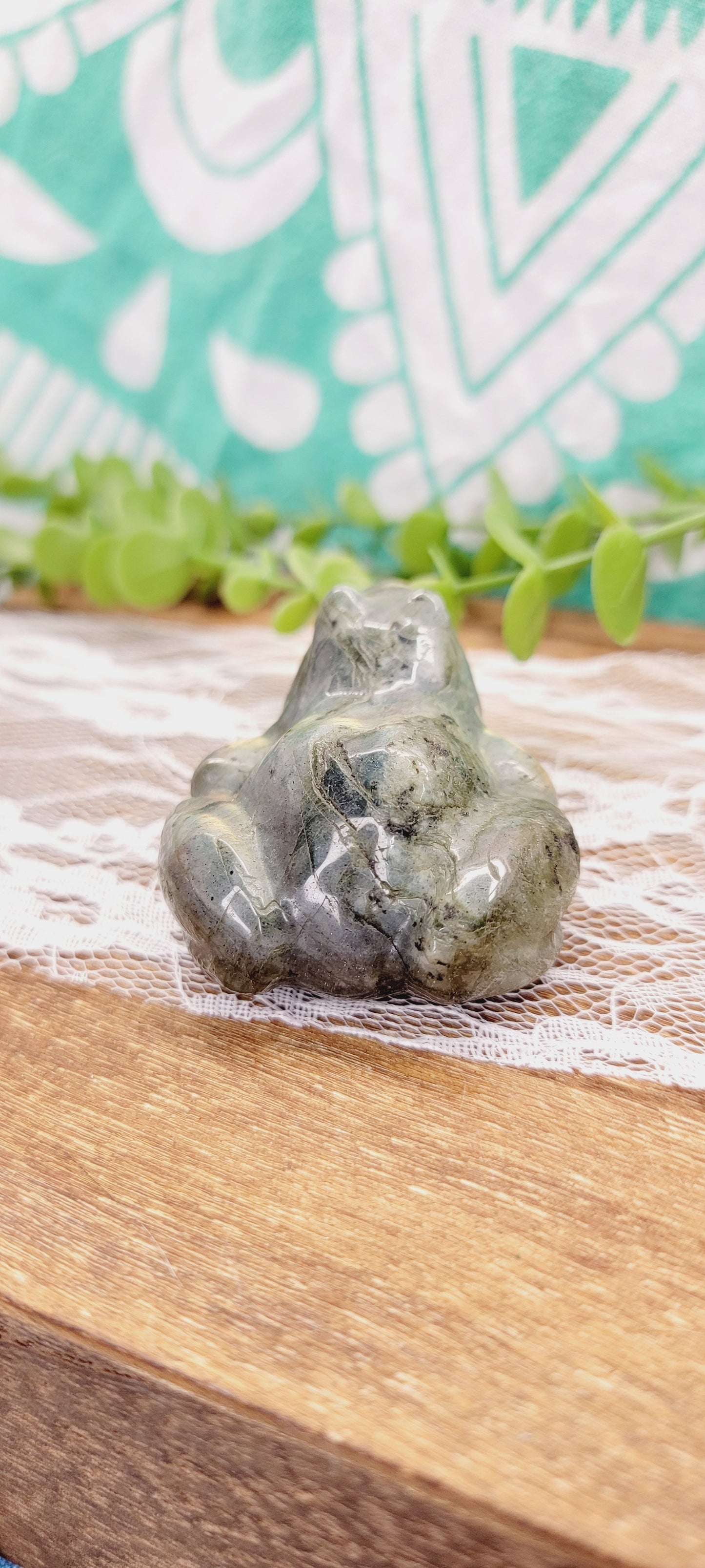 Labradorite Frog