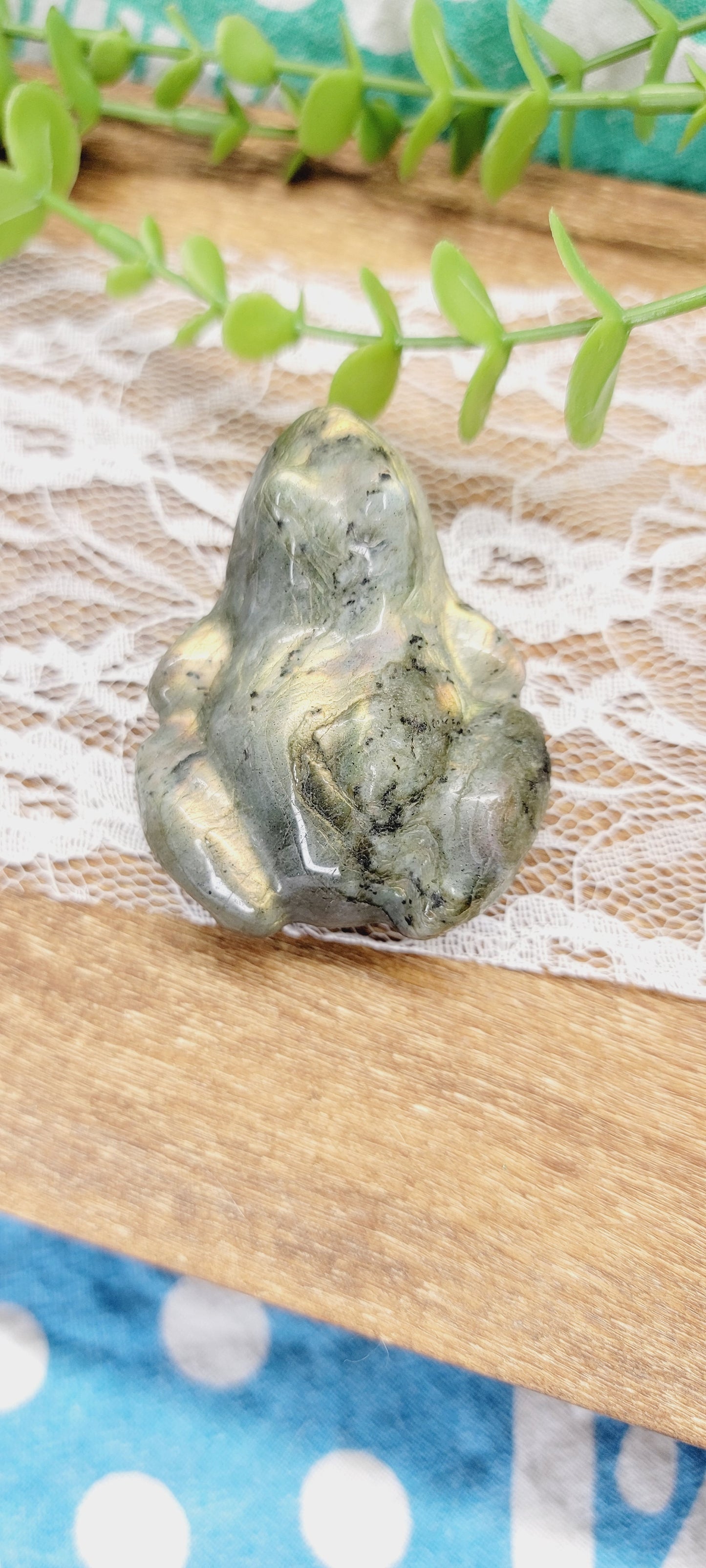 Labradorite Frog